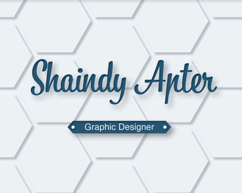 Shaindy Apter Portfolio